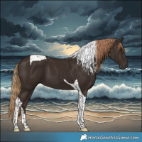 Horse Color:Liver Chestnut Tobiano 