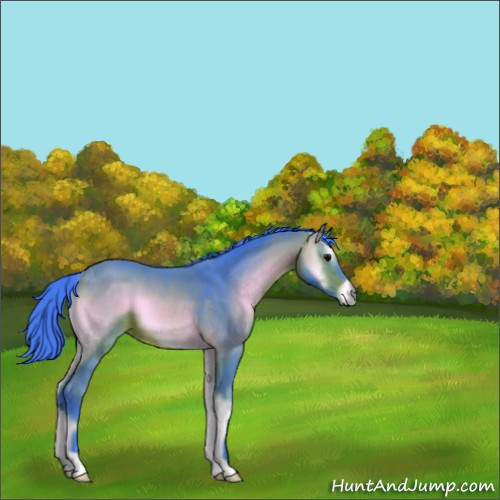 Horse Color:Watercolor Bay Onyx 