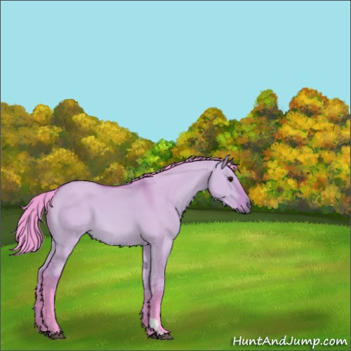Horse Color:Watercolor Bay Dun 