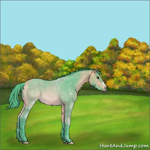 Horse Color:Watercolor Buckskin 