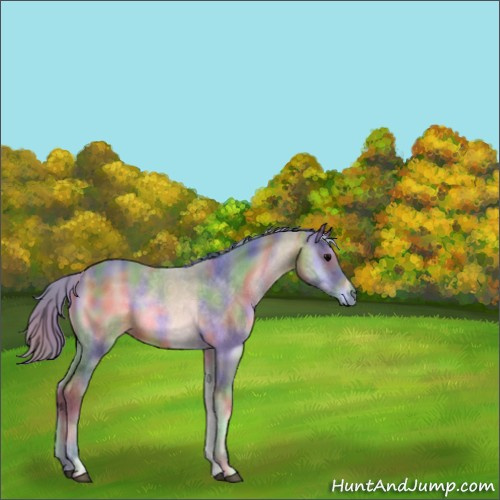 Horse Color:Nacre Watercolor Bay Onyx 