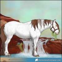 Horse Color:Amber Champagne Roan Dun Near Leopard 