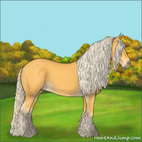 Horse Color:Palomino 