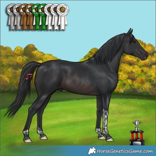 Horse Color:Brown Tobiano 