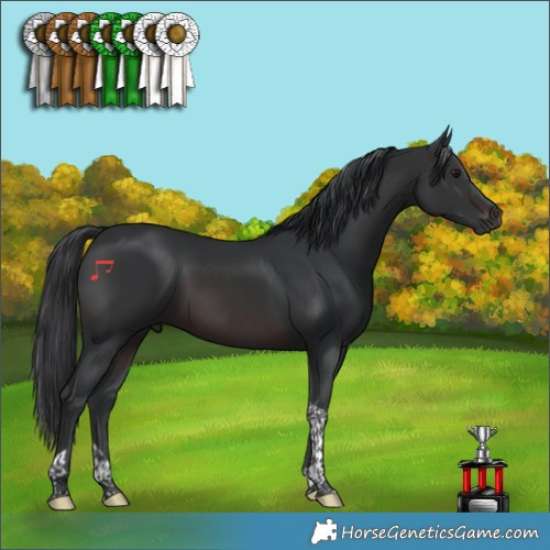 Horse Color:Brown Tobiano 