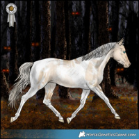 Horse Color:White Spotted Chocolate Palomino Pearl Dun Tobiano Rabicano