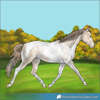 Horse Color:White Spotted Perlino Dun Tobiano Varnish Rabicano 