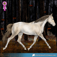 Horse Color:Smoky Grullo Pearl Tobiano Rabicano 