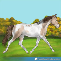 Horse Color:Bay Snowdrop Dun Tobiano Varnish Rabicano 