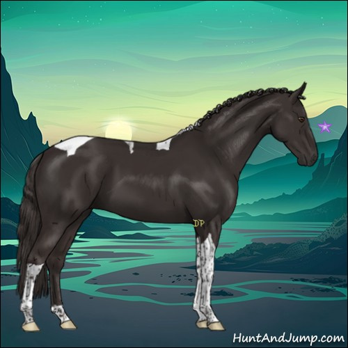 Horse Color:Liver Chestnut Tobiano 