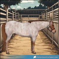 Horse Color:Red Roan 