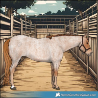 Horse Color:Red Roan 