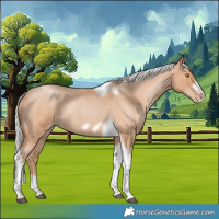Horse Color:Silver Blue Roan Pearl Tobiano Frame 