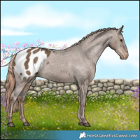 Horse Color:Liver Red Dun Blanket