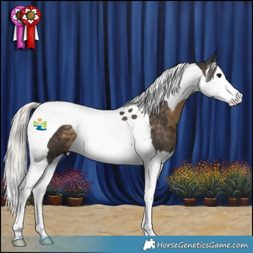Horse Color:Silver Smoky Black Splash Tobiano 