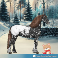 Horse Color:White Spotted Liver Chestnut Tobiano Snowcap 
