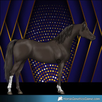 Horse Color:Liver Chestnut Tobiano
