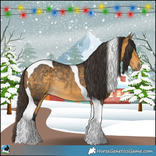 Horse Color:Buckskin Mushroom Tobiano Rabicano