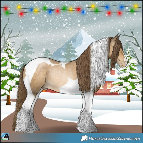 Horse Color:Smoky Black Pearl Tobiano Rabicano 