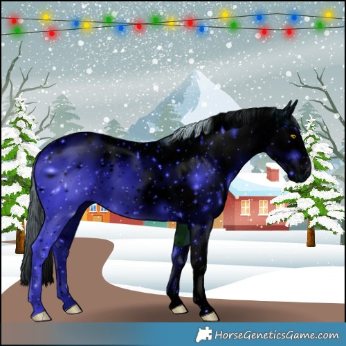 Horse Color:ERROR: UNKNOWN ANOMALY