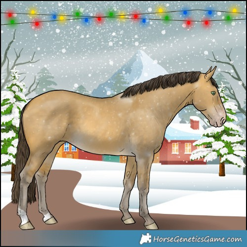 Horse Color:Sable Cream Champagne Dun 