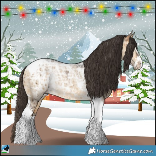 Horse Color:Buckskin Ice Dun Sabino Tobiano Rabicano Brindle 
