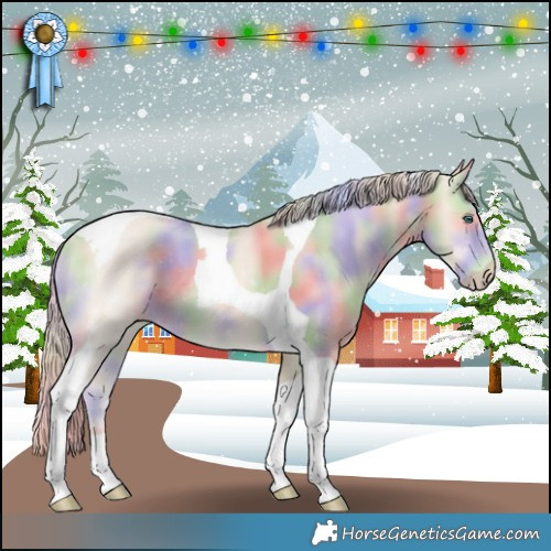 Horse Color:Nacre Perlino Tobiano 