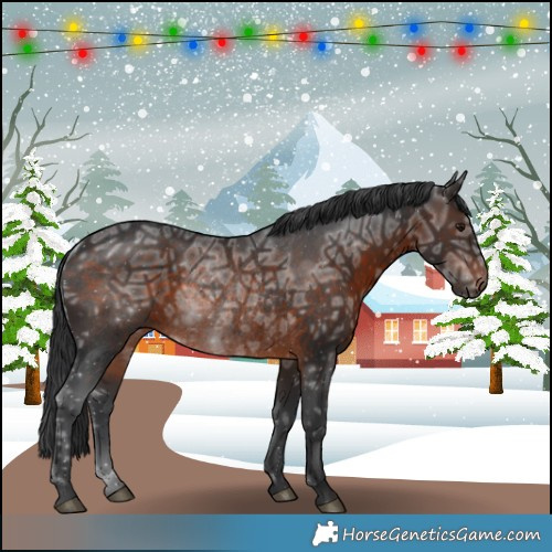Horse Color:Brown Ice Mushroom Rabicano 