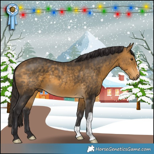 Horse Color:Buckskin Mushroom 