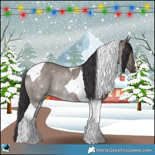 Horse Color:Smoky Grullo Mushroom Tobiano Rabicano 