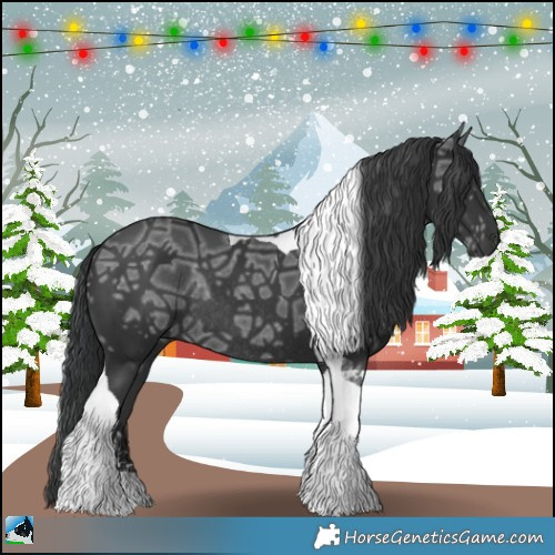 Horse Color:Black Ice Sabino Tobiano Rabicano 