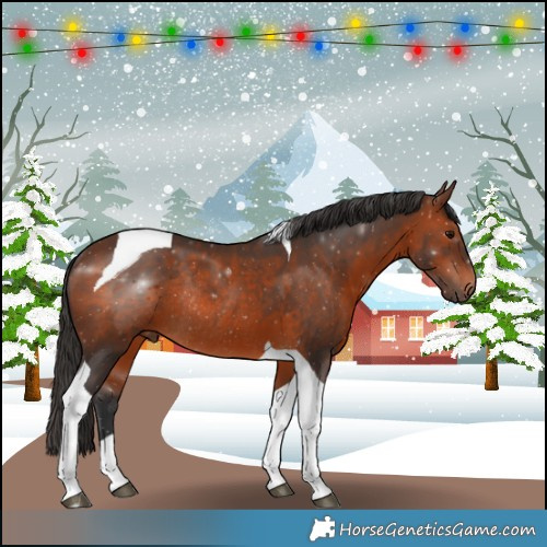 Horse Color:Brown Tobiano Rabicano 