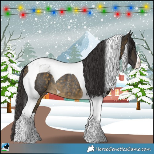 Horse Color:Buckskin Tobiano Rabicano 