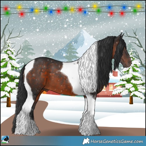 Horse Color:Brown Tobiano 