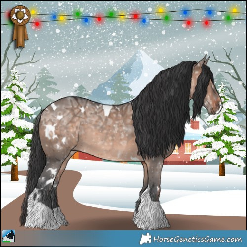 Horse Color:White Spotted Brown Ice Dun Mushroom Tobiano Rabicano 