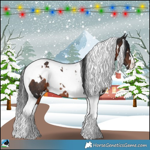 Horse Color:White Spotted Brown Tobiano Rabicano 