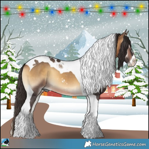 Horse Color:Buckskin Onyx Sabino Tobiano 