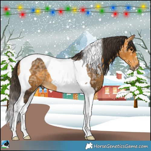 Horse Color:Buckskin Ice Tobiano 