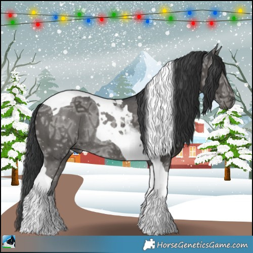 Horse Color:Black Ice Tobiano Rabicano 