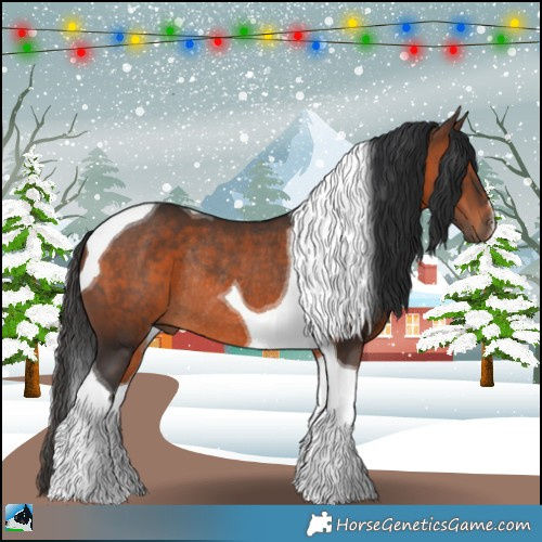 Horse Color:Brown Tobiano Rabicano 