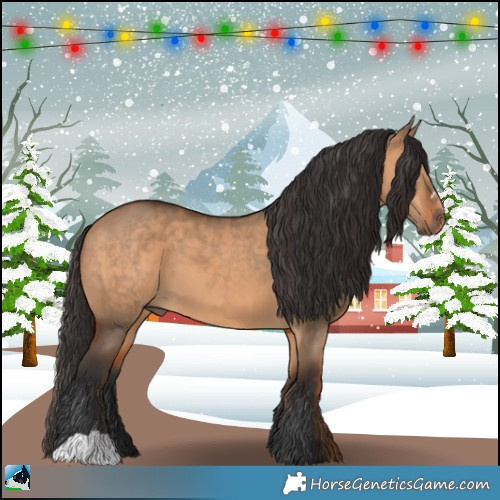 Horse Color:Bay Dun 