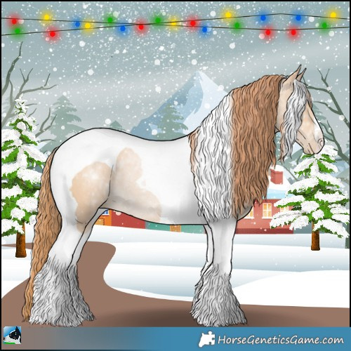 Horse Color:Buckskin Ice Pearl Tobiano Rabicano 