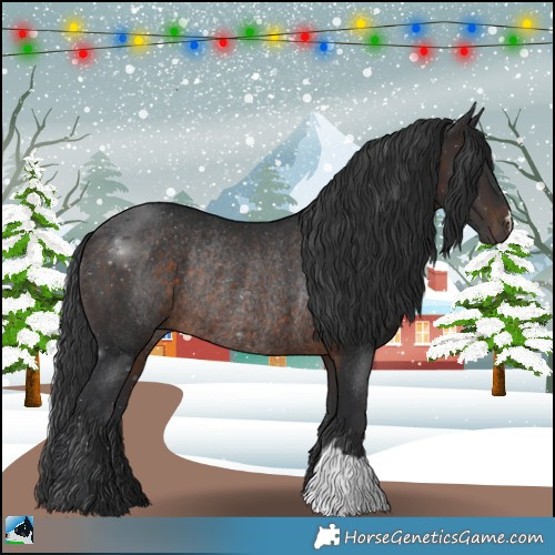 Horse Color:Brown Rabicano 
