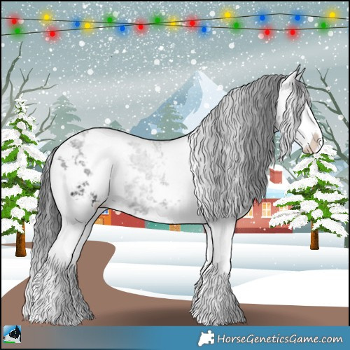 Horse Color:Black Ice Mushroom Sabino Splash Rabicano 