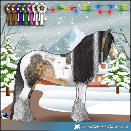 Horse Color:Buckskin Ice Tobiano Rabicano 