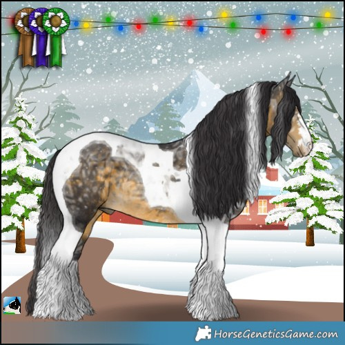 Horse Color:Buckskin Ice Tobiano Rabicano 