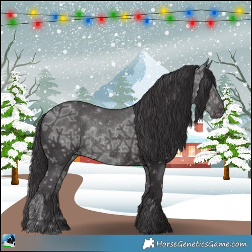 Horse Color:Smoky Black Ice Rabicano 