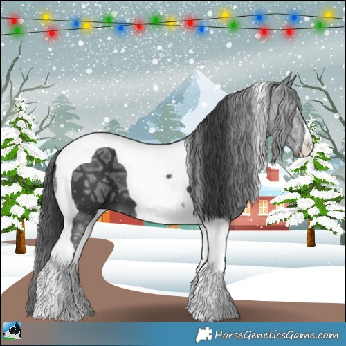 Horse Color:Black Ice Tobiano 