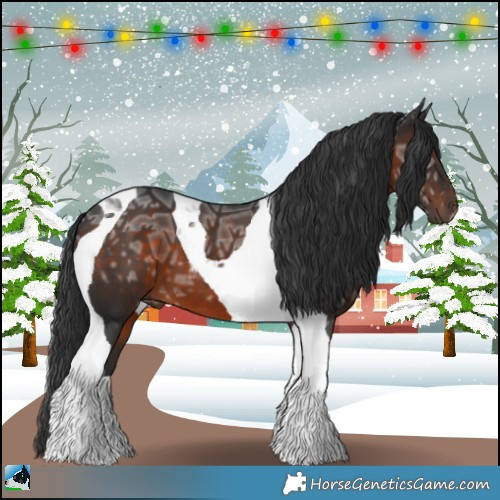 Horse Color:Brown Ice Tobiano 