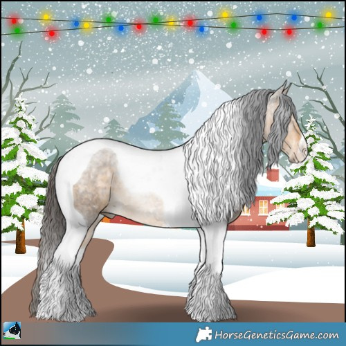 Horse Color:Buckskin Ice Tobiano Rabicano 